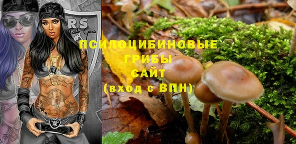 дмт Аркадак