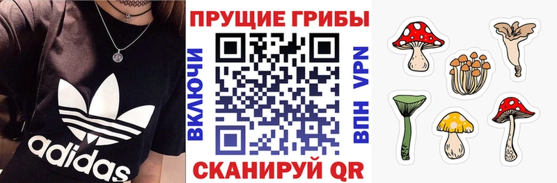 Псилоцибиновые грибы Psilocybine cubensis  mega онион  Борзя 